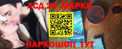 2c-b Кингисепп