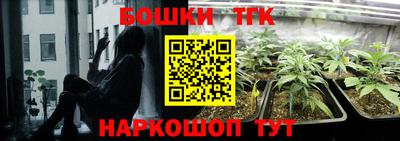 2c-b Кингисепп
