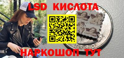 2c-b Кингисепп
