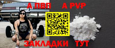 2c-b Кингисепп